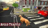 Hond versus kat vecht spel Screen Shot 7