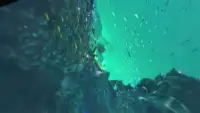 VR Ocean with Cardboard 360 Screen Shot 2