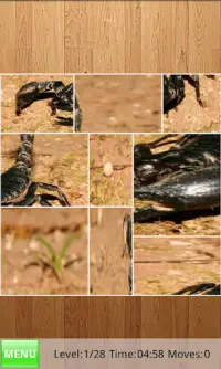 Scorpions Jigsaw Puzzles Screen Shot 0