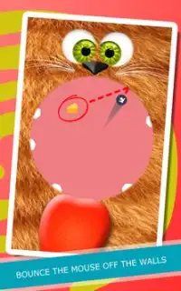 Cat Games: Spin the Kitty Free Screen Shot 3