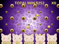 Casino Cash Cats Kitty Game Vegas Slots Machine Screen Shot 2