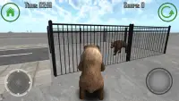 Bear Simulator 3D Madness Screen Shot 3