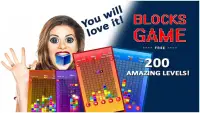 Blocks Game Free: Block Puzzle Screen Shot 7