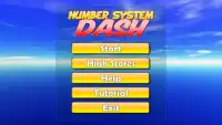 Number System Dash Screen Shot 2