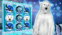 Polar Bear: Free Slots Casino Screen Shot 1