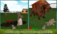 Pet Rabbit Vs Dog Attack 3D Screen Shot 0