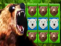 Bear Slots - Free Slot Casino Screen Shot 2