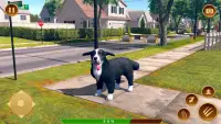 Virtual Pet Puppy Dog Family Screen Shot 4