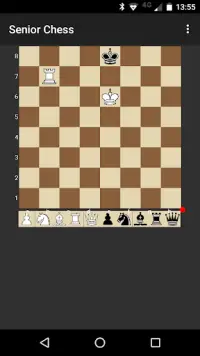 Schaken: Senior Chess Screen Shot 2