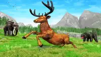 Deer Hunting Wild Hunter Games Screen Shot 2