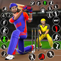 Bat & Ball: Play Cricket Games