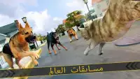🐾 لعبة القط سباق للأطفال 🐾 Screen Shot 9