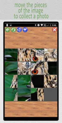 15:Birds Puzzle Screen Shot 2