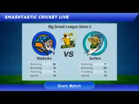 Smashtastic Cricket Screen Shot 14