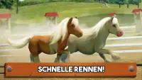 Mein kleines Pony! Pferdespiel Screen Shot 7