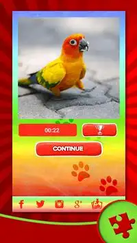 귀여운 애완 동물 퍼즐 Screen Shot 0