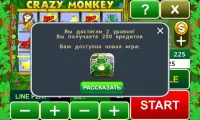 Crazy Monkey slot machine Screen Shot 3