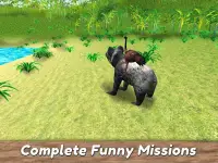 Koala Family Simulator - experimente a selvagem! Screen Shot 9