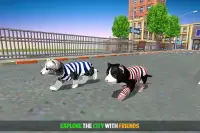 Cat Simulator Game 2020 :Kitty Running Screen Shot 12