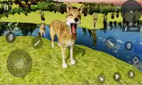Wolf hunting games:3d free shooting game Screen Shot 1