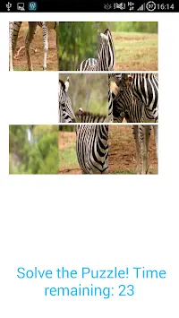Animal Picture Puzzle Screen Shot 2