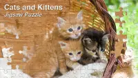 Jigsaw Puzzles - FREE - Cats & Kittens Screen Shot 0