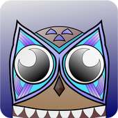 60 Sec Owl