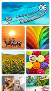 Jigsaw Puzzles & Puzzle Games Screen Shot 0