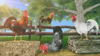 Wild Rooster Animal Run Race- Chicken Farm Racing Screen Shot 2
