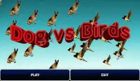 Dog vs Birds Screen Shot 0