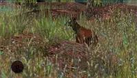 2020 оленей охотничий классический африканский 3D Screen Shot 16