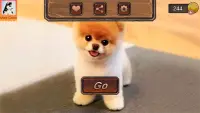 Pomeranian Dog Simulator Screen Shot 0