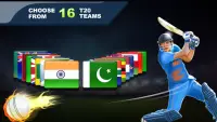 Cricket Champions Screen Shot 9