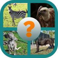Guess who this animal is? -  2020 Quiz
