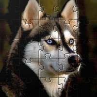 Juegos Gratis de Rompecabezas de Perros Huskies 🧩