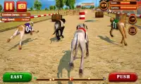 Dog Race & Stunts 2016 Screen Shot 2