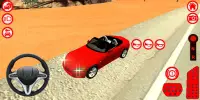 S2000 Simulator Car Games Screen Shot 4
