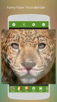 Face Blender:Funny Morph  Face Screen Shot 13