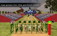 Real Racing Horse & Jumping Simulator 2018 Pro Screen Shot 0