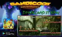 Bandicoot Adventure Subway Screen Shot 1