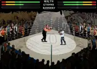 Smash Boxing Screen Shot 3