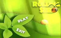 Balance Ball 3D-Rolling Seed 2 Screen Shot 0