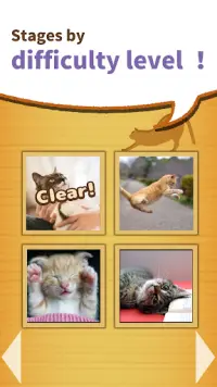 change cats -a-ha!experience- Screen Shot 4