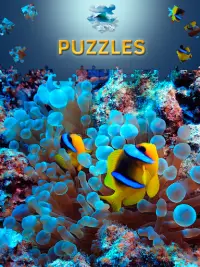 Natur Puzzle Ozean Spiele Screen Shot 1