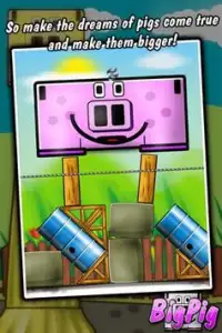 Big Pig - physics puzzle game Screen Shot 5