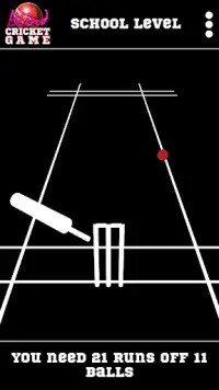 Blind Cricket Screen Shot 3