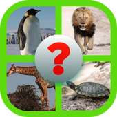 animal quiz game for kids