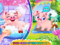 Baby Pig Care Screen Shot 4