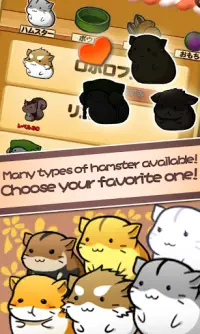 Hamster Life - 햄스터 라이프 Screen Shot 2