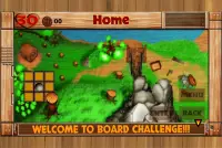 Board Challenge Screen Shot 7